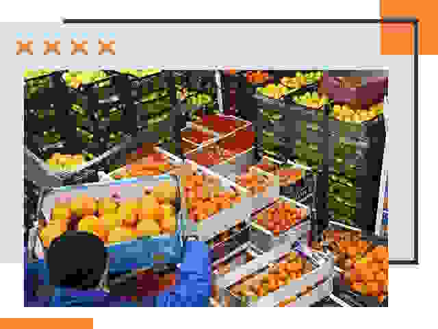 Перевозка скоропортящихся продуктов в Железногорске